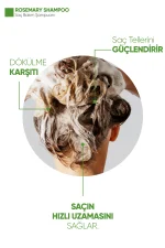 Axwell Biberiye Şampuan 400 ml - Image 2