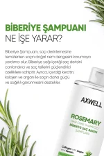 Axwell Biberiye Şampuan 400 ml - Image 4